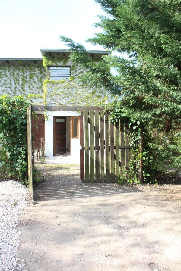 Casita Moderna Frente Al Bosque Apartman Mar del Plata Kültér fotó